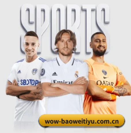 五大体育板块覆盖,从比分到直播全覆盖 - BWSPORTS