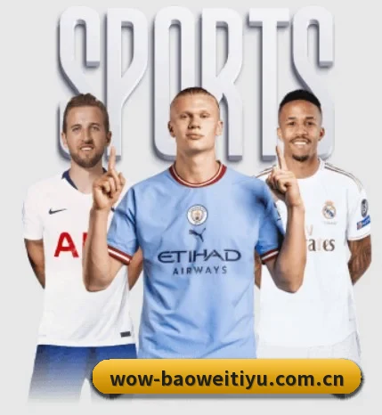 平台简介 - 体育资讯内容服务(BWSPORTS)